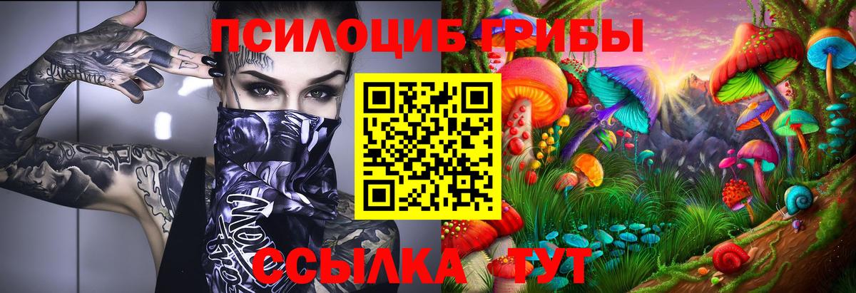Комсомольск-на-Амуре  Галлюциногенные грибы Psilocybe  Вход с VPN  Псилоцибиновые грибы MAGIC MUSHROOMS 