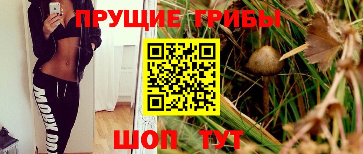 Псилоцибиновые грибы GOLDEN TEACHER Комсомольск-на-Амуре
